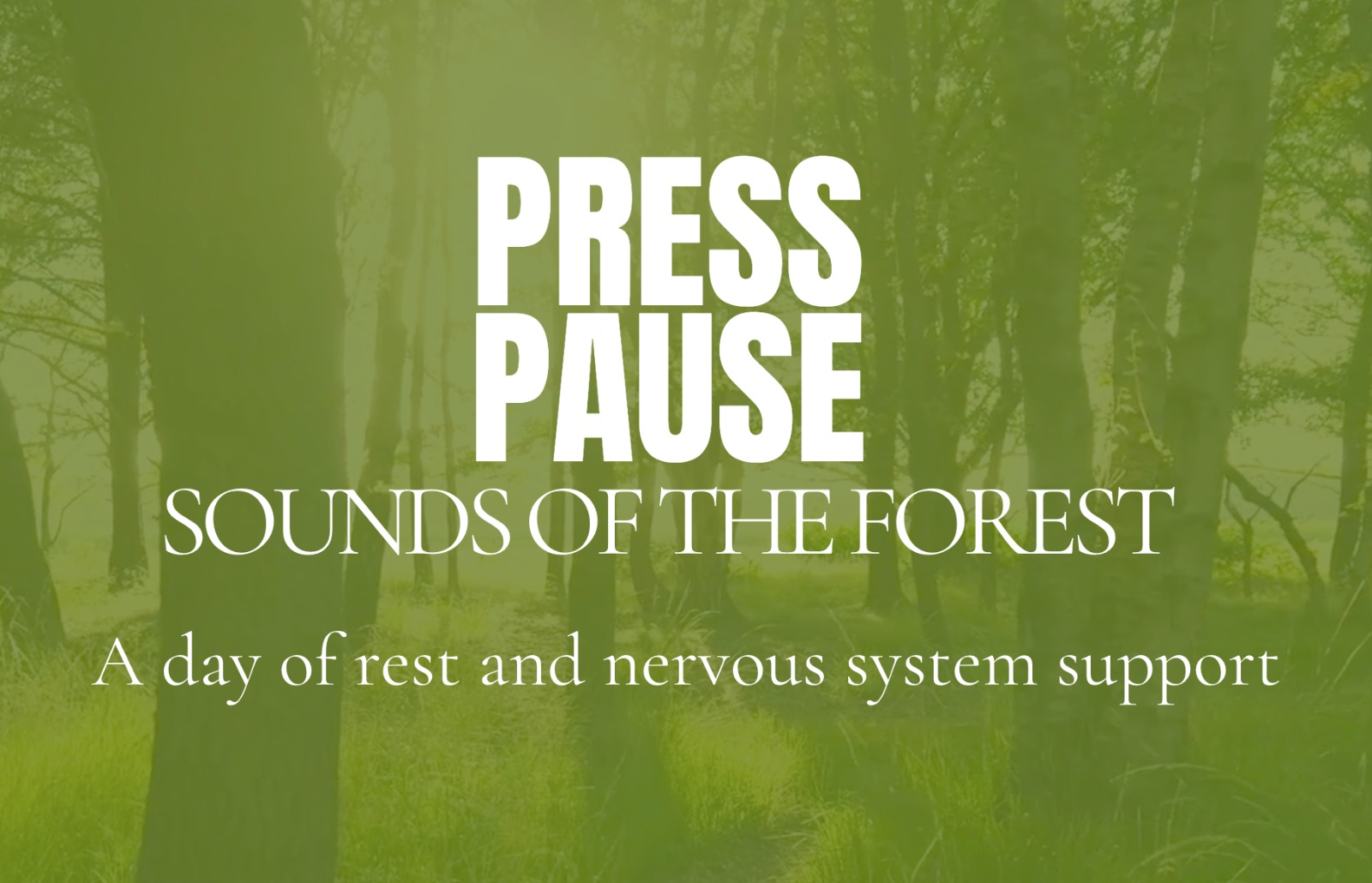 Press Pause: Sounds of the Forest Retreat Epping Forest